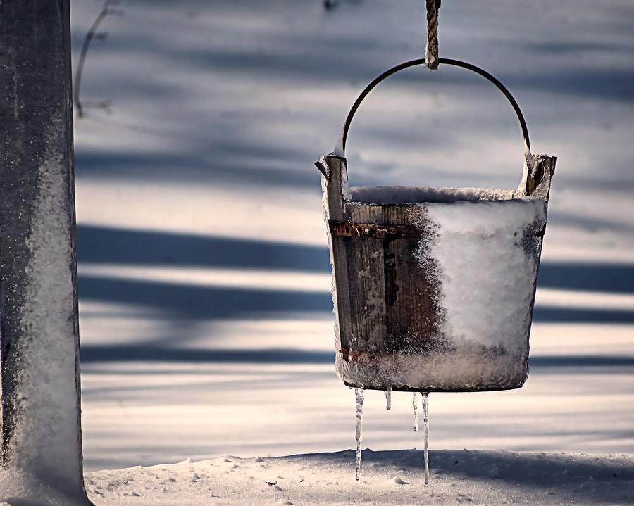 Frozen Water Bucket Photograph by Janice Drew