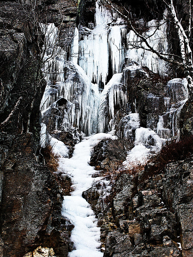 Frozen Waterfall Photograph by Randi Kuhne
