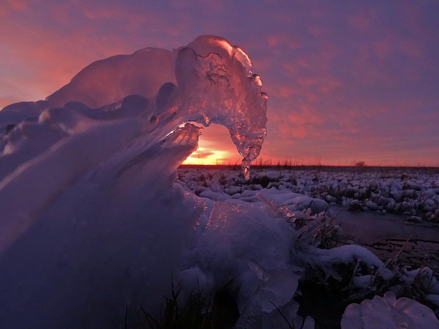 Frozen Wave Photograph by Crystal Socha