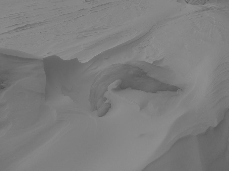 Frozen Wave Photograph