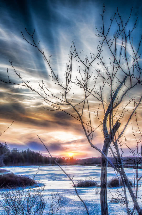 Frozen Winter Sunset Photograph by Beth Sawickie