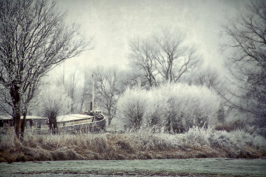 Frozen World by Annie Snel Frozen World by Annie Snel