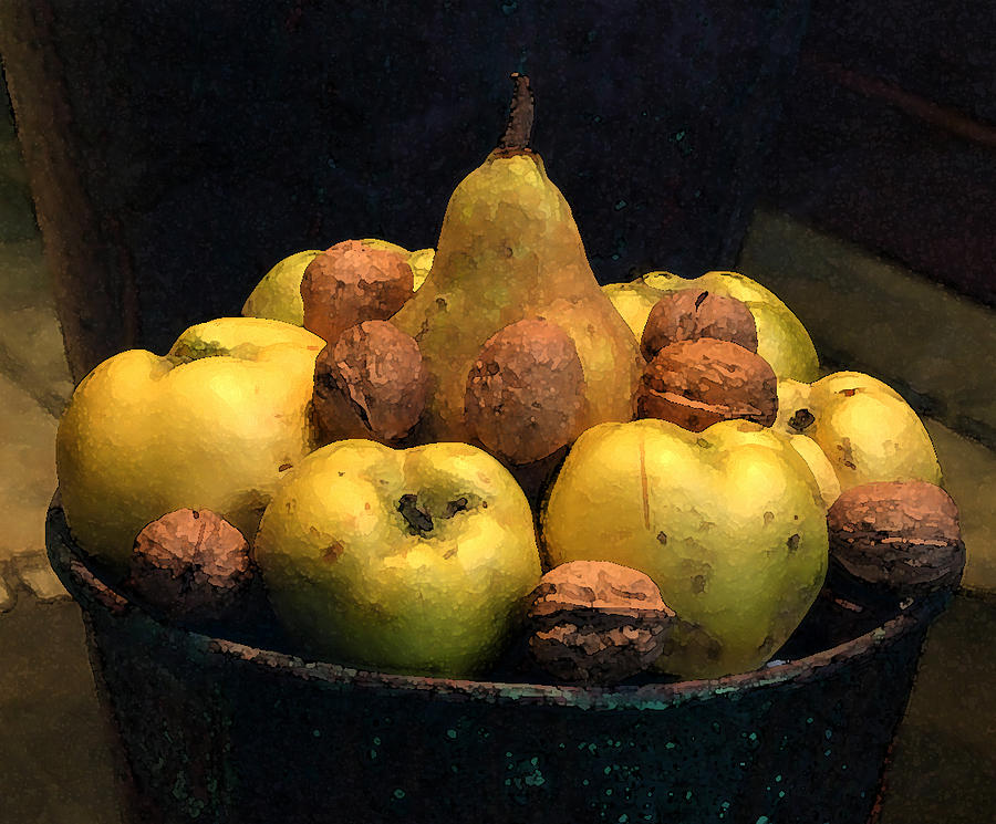 Apple Photograph - Fruit and Nut Bowl by Michael Riley