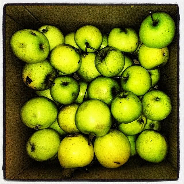 Apple Photograph - #fruit #apples #apple by Abdurrahman Ozlem