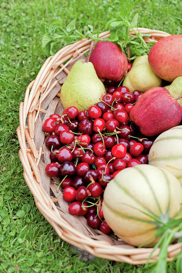 Fruit Basket Photograph by Lili Basic Capaccetti Fruit Basket Photograph by Lili Basic Capaccetti