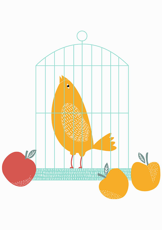 Fruit Beside Birdcage With Singing Bird Photograph by Ikon Ikon Images