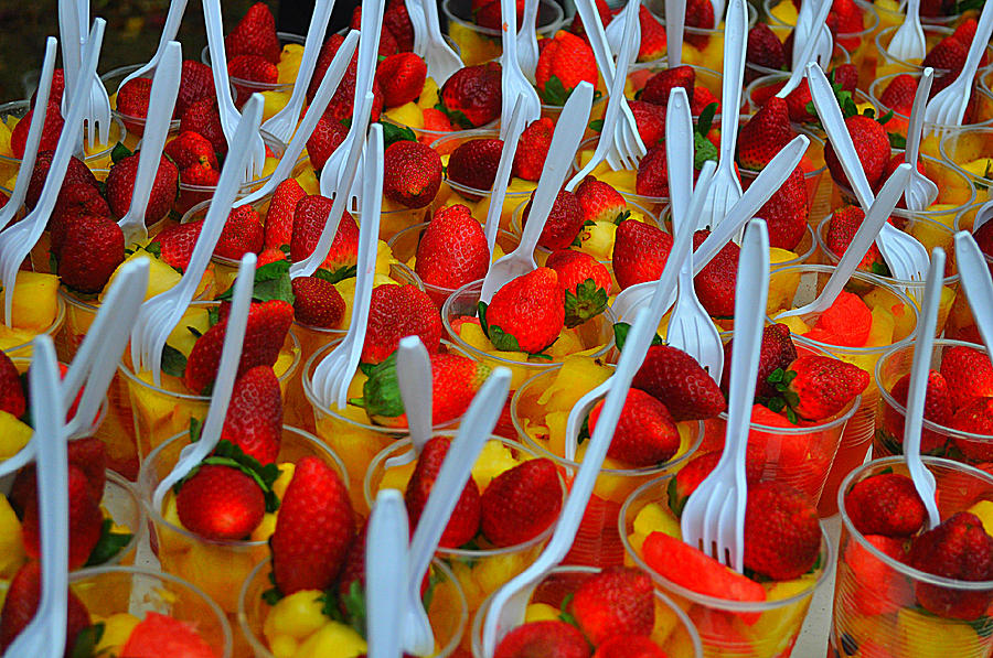 Fruit cups Photograph by Janis Palma - Fine Art America