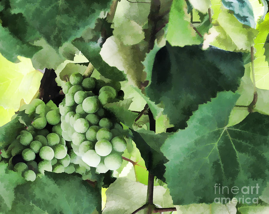 Fruit Of The Vine - Luther Fine Art Photograph by Luther Fine Art