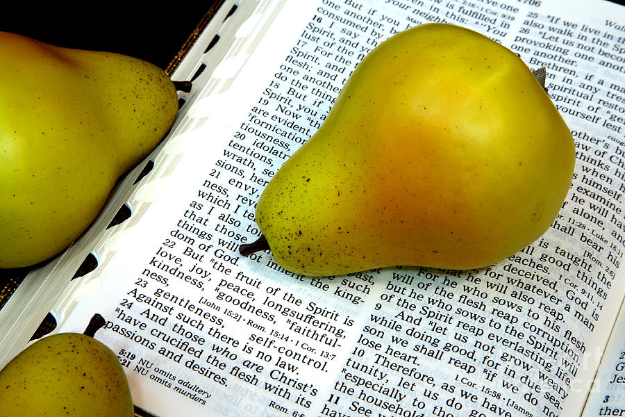 Fruit of the Spirit Scripture Photograph by Pattie Calfy