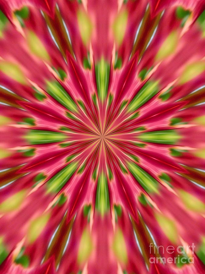 Fruit Punch Kaleidoscope Digital Art by Sharon Woerner