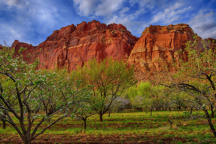 Fruita in Capitol Reef Photograph by Greg Norrell