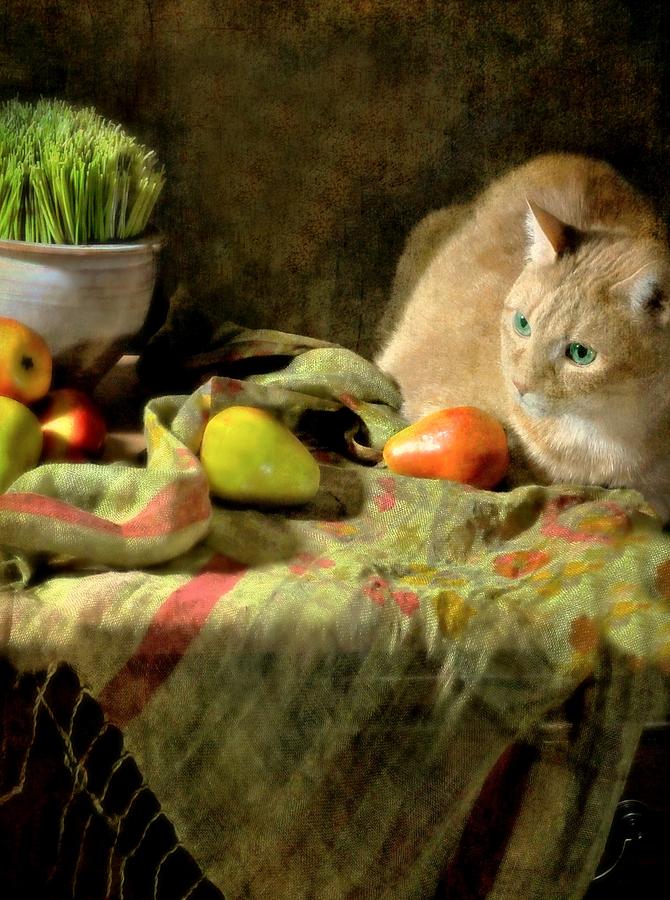 Still Life Photograph - Fruitful Blessings by Diana Angstadt