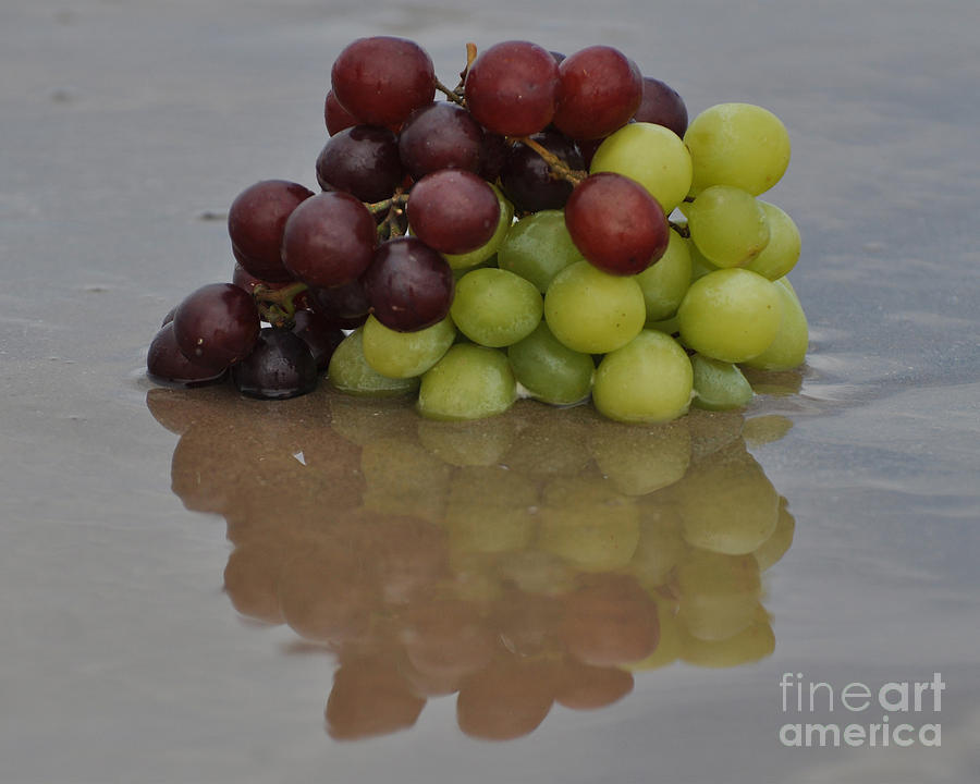 Fruitscapes Grapes Photograph by Josephine Cohn