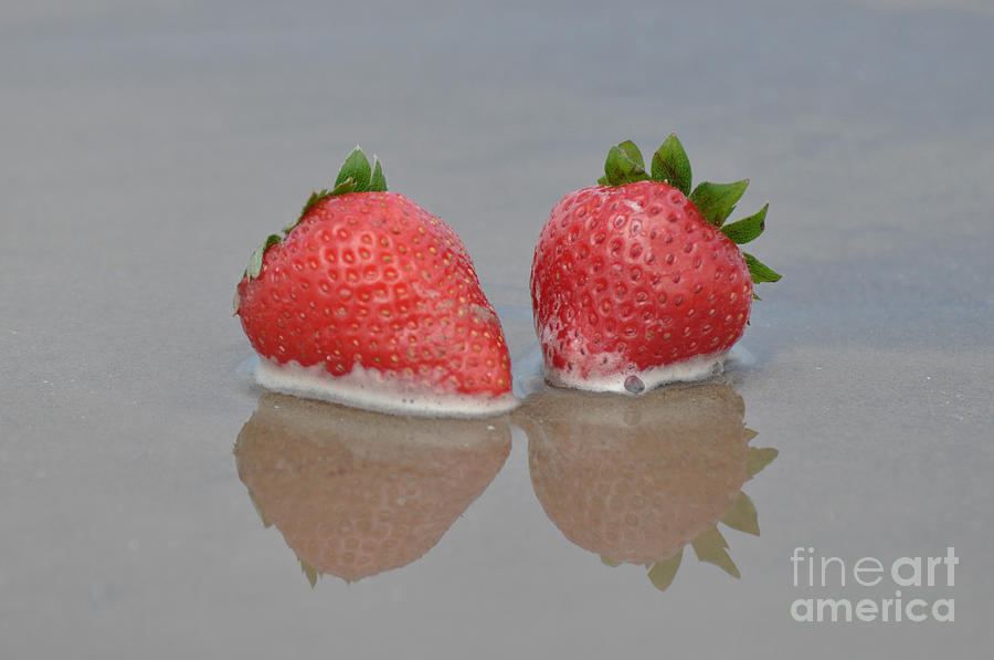 Fruitscapes Strawberries Photograph by Josephine Cohn