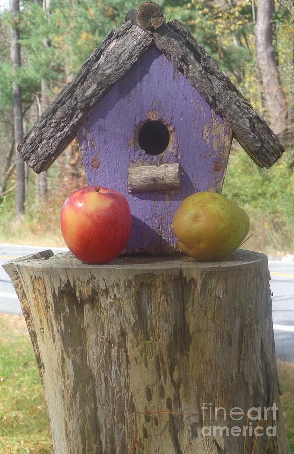 Fruity Home? Photograph by Christina Verdgeline