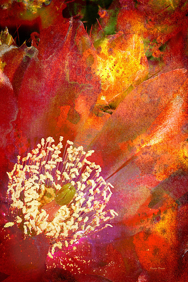 Fuchsia Cactus Flower Painterly Photograph by Phyllis Denton
