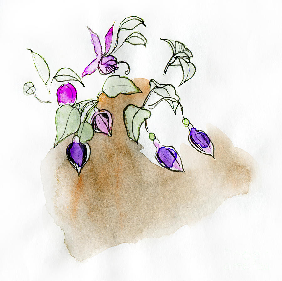 Fuchsia Painting