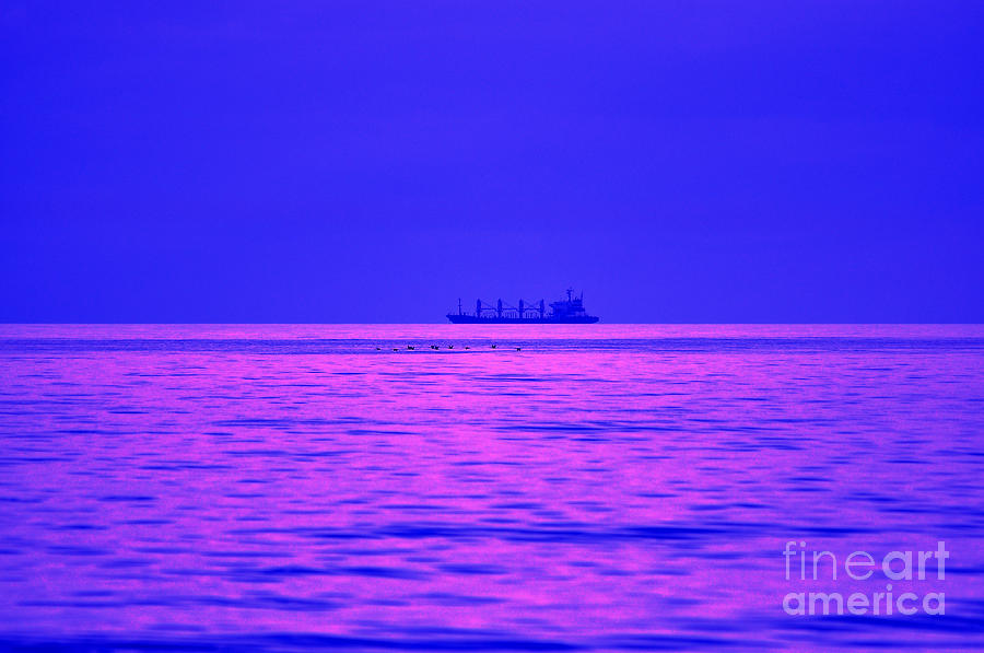 Fuchsia Flock and Freighter Photograph by Al Powell Photography USA