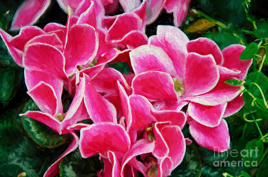 Fuchsia Flowers Painterly Photograph by Andee Design