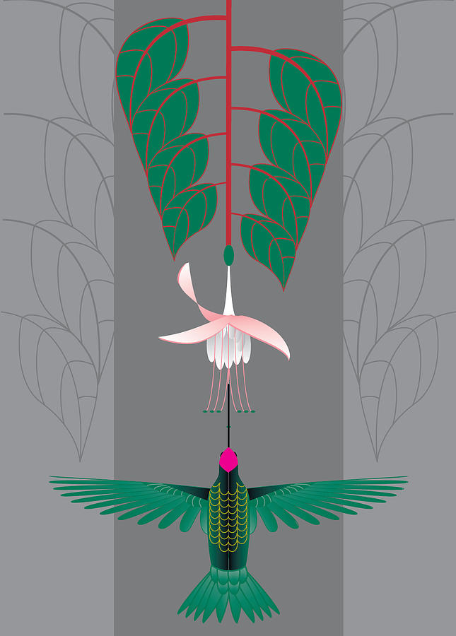 Fuchsia by Marie Sansone Fuchsia by Marie Sansone