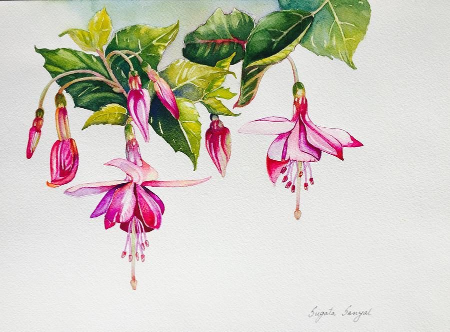 Fuchsias Painting by Sugata Sanyal - Fine Art America