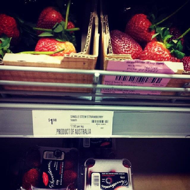 Strawberry Photograph - Fucking Expensive Strawberries! $2 Each by Crystal Chloe