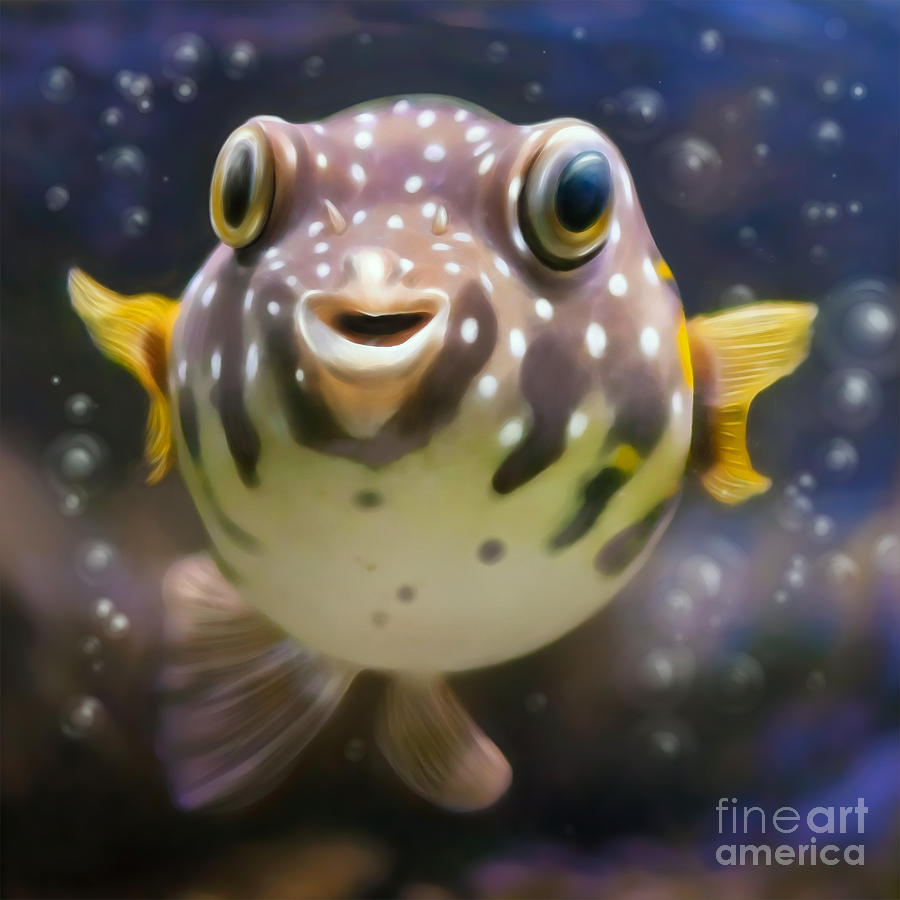 Blowfish Painting - Fugu by Silvio Schoisswohl
