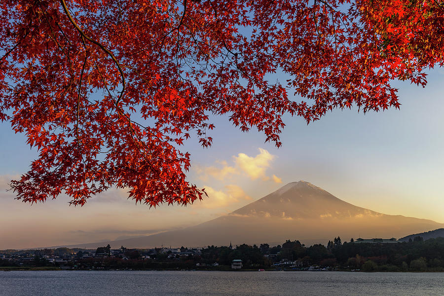 Fuji In Autumn Season Photograph by Www.tonnaja.com