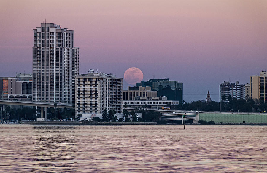 Full Moon Rise Clearwater FL Photograph by Patricia Laskowski - Fine ...