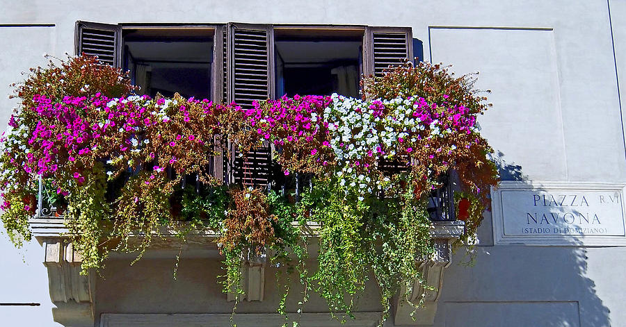Full Bloom Piazza Navona Photograph by Caroline Stella