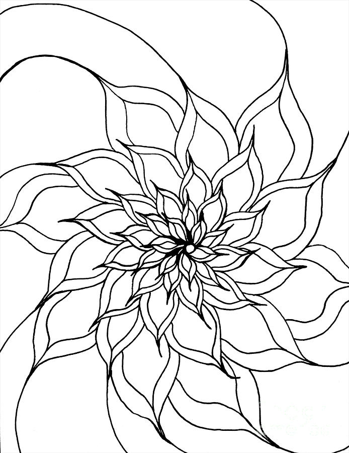 Full Bloom IIi Drawing by Anita Lewis