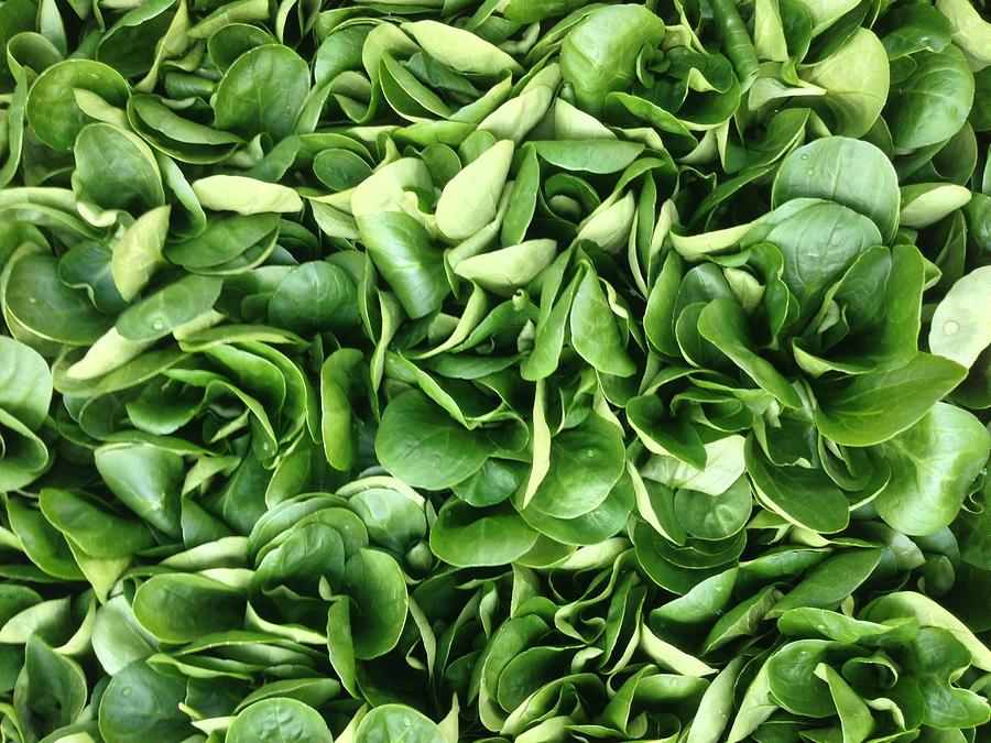 Full Frame Shot Of Spinach Photograph by Byron Hirsch / EyeEm Full Frame Shot Of Spinach Photograph by Byron Hirsch / EyeEm