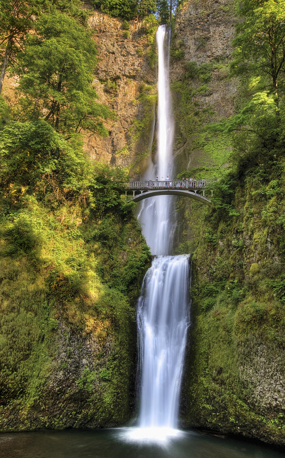 Full Height Of Multnomah Falls Oregon Photograph by Philippe Widling ...