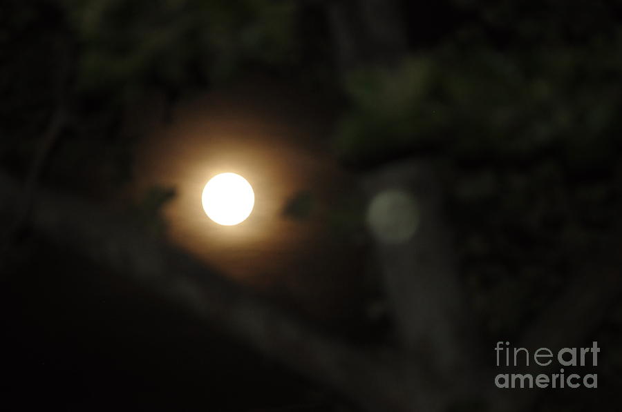 Full June Moon  Photograph by Nona Kumah