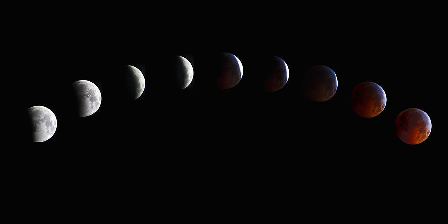 Full Lunar Eclipse Photograph by Glenn Fillmore Full Lunar Eclipse Photograph by Glenn Fillmore