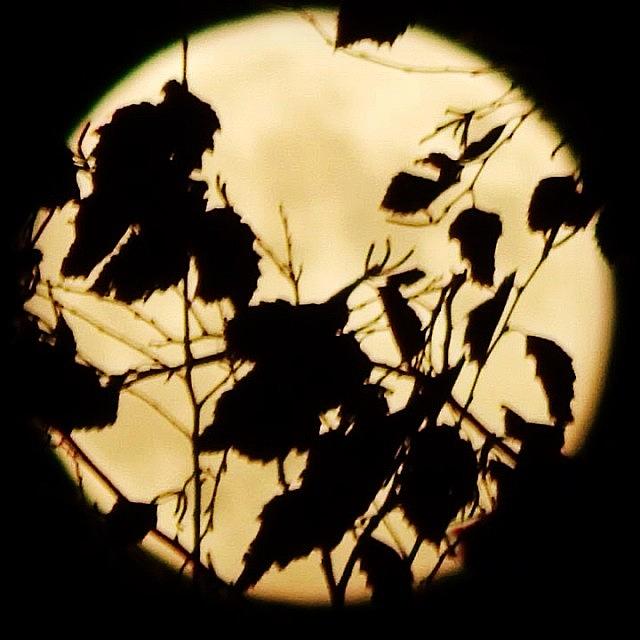 Moon Photograph - Full #moon by Brian Harris