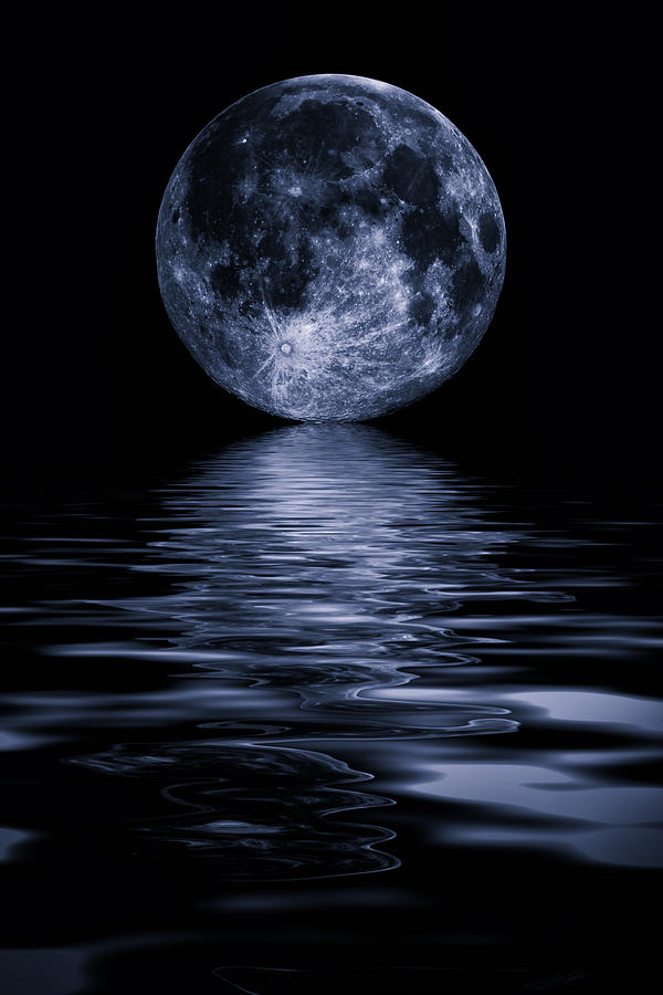 Full Moon Photograph by David Pringle
