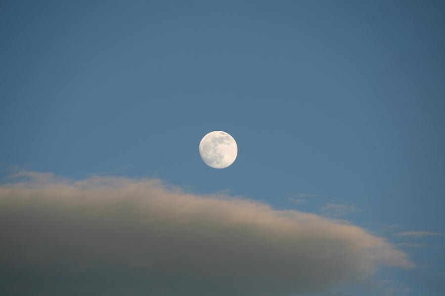 Full Moon Photograph by David S Reynolds