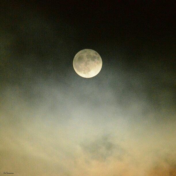 Space Photograph - Full Moon by Eve Tamminen