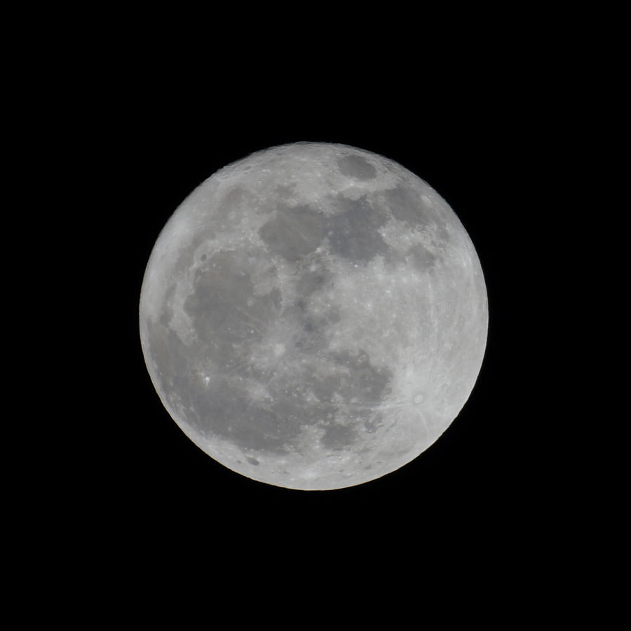 Full Moon Feb Photograph by Ernest Echols