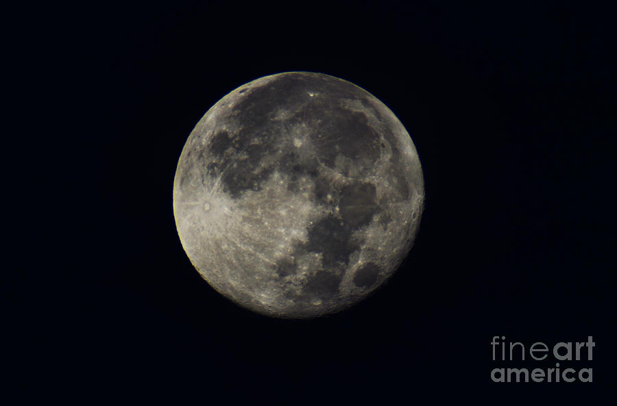Full moon Photograph by Frank Larkin