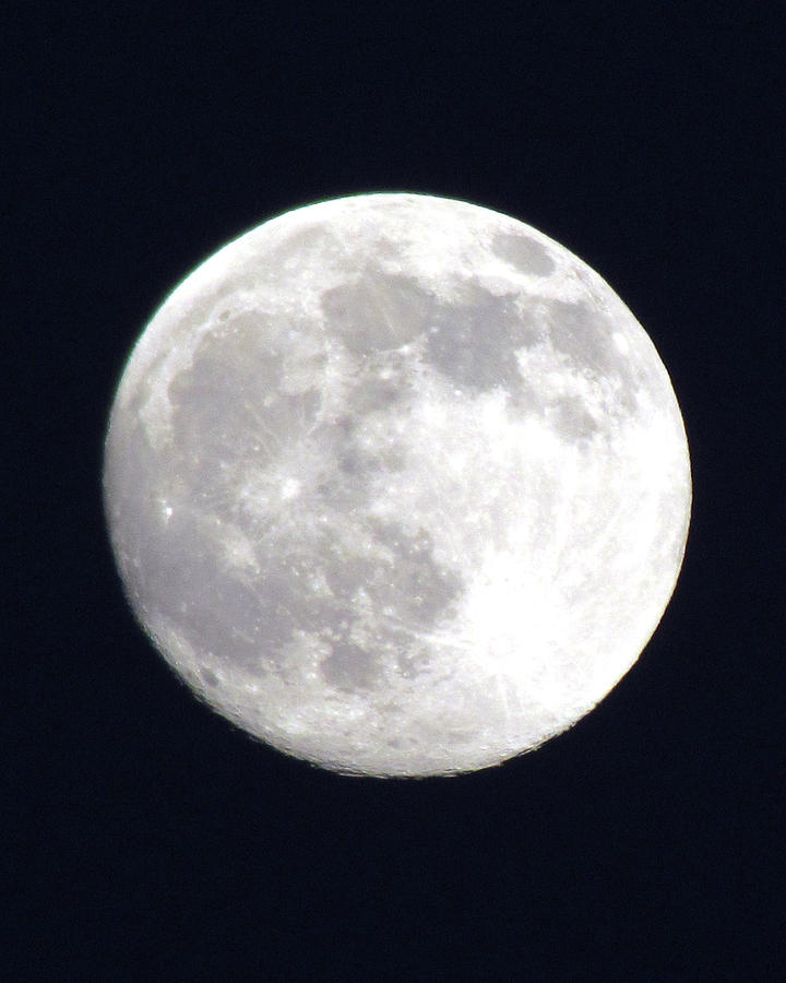 Full Moon Photograph by George Jones
