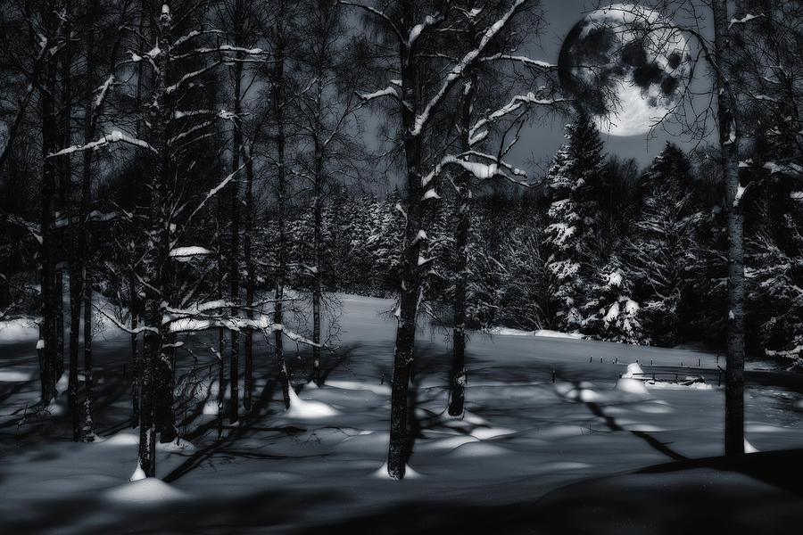 Full Moon Hovering Over Snowy Winter Landscape Photograph by Christian Lagereek