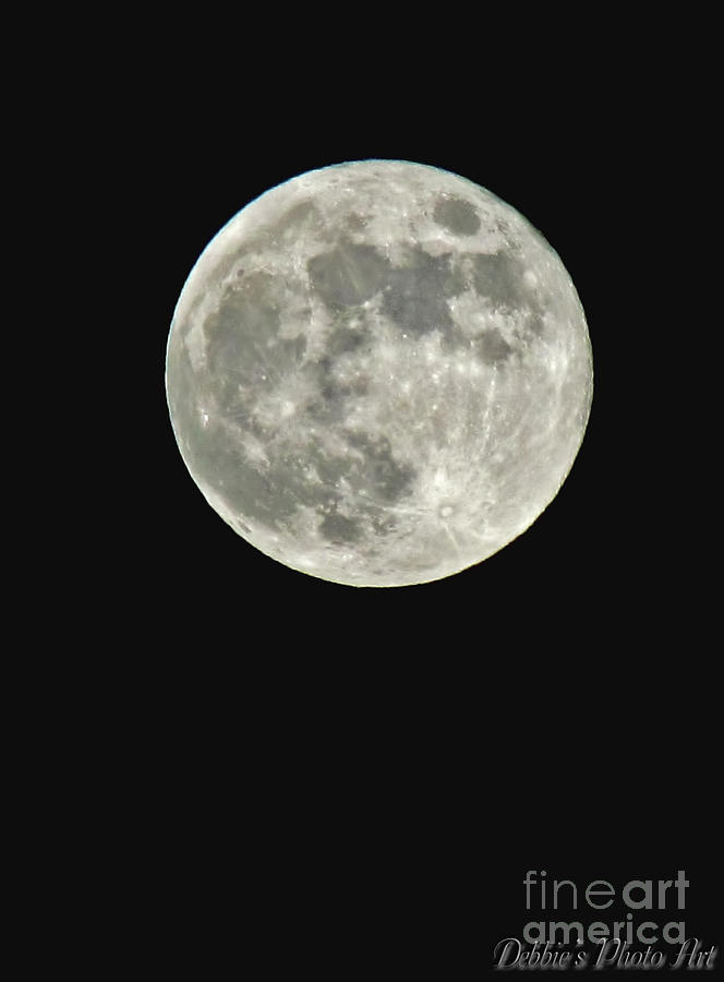 Nature Photograph - Full Moon II by Debbie Portwood