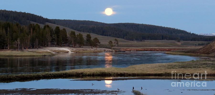 Yellowstone National Park Photograph - Full Moon in the Hayden  by Harriet Peck Taylor