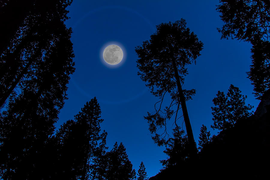 Full Moon in Yosemite Photograph by Ron Pate