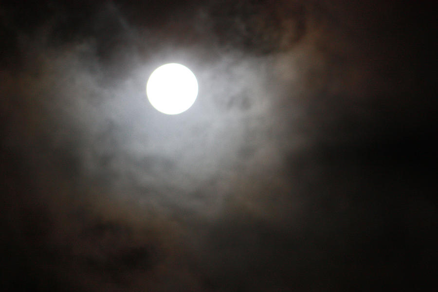 Full Moon Photograph by Karen Nicholson