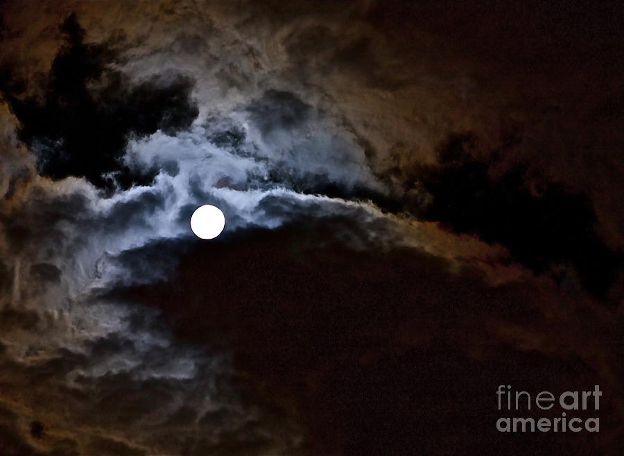 Full Moon Photograph by Linda Bianic
