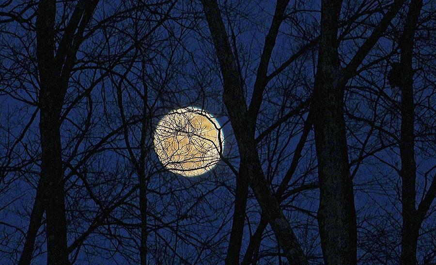 Full Moon March 15 2014 Photograph by Michael Saunders