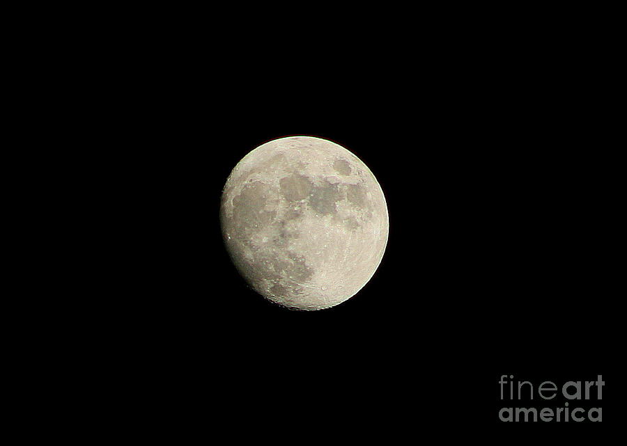 Our Full Moon Photograph
